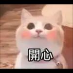 日常百貨