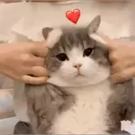 🎊🎊🎊