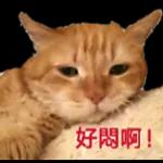 對生活說OK～～～～