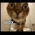 selama ini qua kira gua yang boros ternyata oh ternyata emang duitnya aja yang sedikit