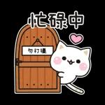 善解人意的貓貓