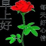 每天好心情
早上好