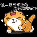 白爛貓☆第１３彈☆ 