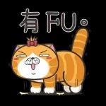 lan-lan-cat-17
