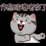 塔仔不正經 奇怪啪