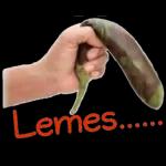 nggak ngurus raimu...