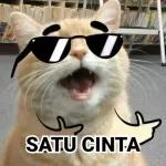 kamu nanya