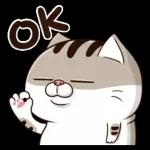 ok 收到