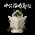 廁所貓貓✩別吵!我在用力✩