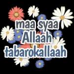 Islami 1