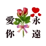 情侣贴纸❤️🎁🌹