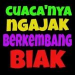 HAPPY
NEW
YEAR