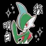 寶可夢-就決定是你了皮卡丘！ 