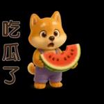 可愛柴犬⭐日常實用