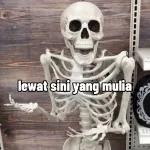 tengkorak☠️