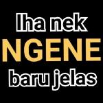 ok banget 