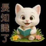 可愛白貓⭐ 日常實用
