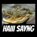 jangan nyolong anjing