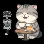 貓系列(4)-灰色虎斑貓