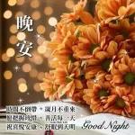 晚
安
時間不倒帶 * 歲月不重來
愿把握珍惜*善活每一天
Lim Yen Lin
祝喜悅安康舒眠到天明 Good Night