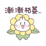 太生气啦~~~~~~