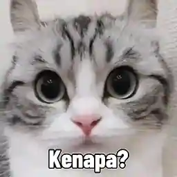                             Quby pentol 2TOP STICKERS