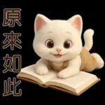 可愛白貓⭐ 日常實用