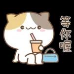 可愛貓貓❤貼心日常❤7