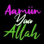 Islami 1