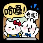 Hello Kitty 50週年 x 不死兔（1）