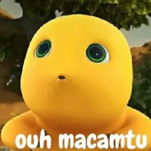 pbjgsof