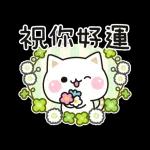 善解人意的貓貓