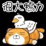 確認過眼神，咱們皆懶人