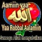 INSYA ALLAH 