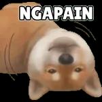 NGAPAIN