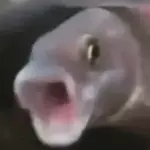                             PENTOL CILOK TOP STICKERS