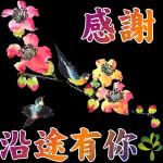 給你溫暖的微笑，開始美好的一天