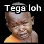 jgn didengerin dia lg kumquat
