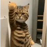 artist