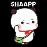 Pap Sebelum berangkat