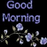 Good morning
