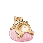 0106-tw-anim-小橘猫