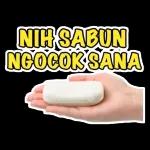 Kontol memek ngentot ewe