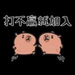 小水豚哋玩喺埋一齐