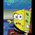 Boleh star plan harini