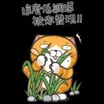這麼低調還被你發現！！