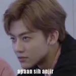 Apaan si apaan？？