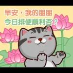 塔仔不正經 怪怪啪