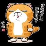 lazycat-25n