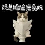 廁所貓貓✩別吵!我在用力✩